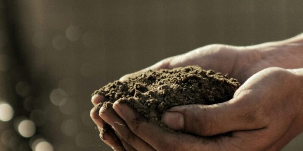 bokeh photography of person carrying soil